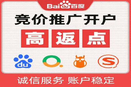 案例研究：竞价广告助力电商行业增长